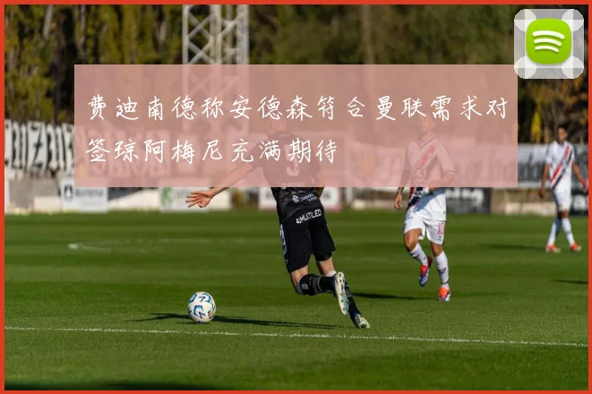 费迪南德称安德森符合曼联需求对签琼阿梅尼充满期待
