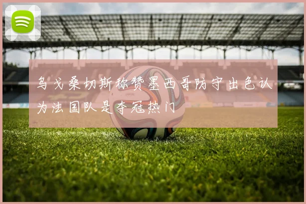 乌戈桑切斯称赞墨西哥防守出色认为法国队是夺冠热门
